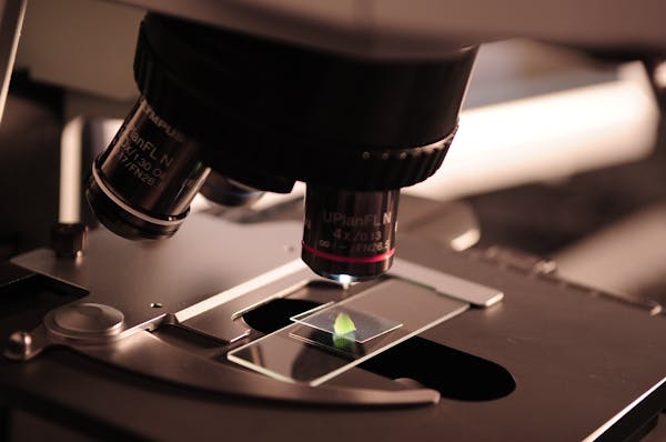 Biology concepts - cell structure and complex systems